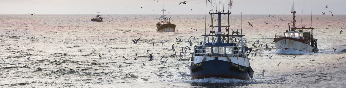 Vers une nouvelle définition de la pêche durable 